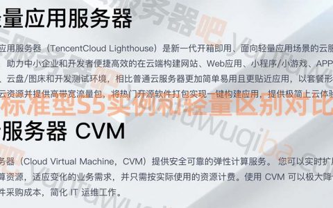腾讯云轻量服务器和CVM服务器S5区别性能哪个更好？