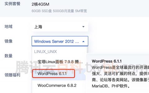 使用腾讯云轻量应用服务器搭建WordPress网站教程（超简单）