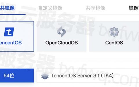 腾讯云服务器CVM公共镜像大全_Win和Linux操作系统