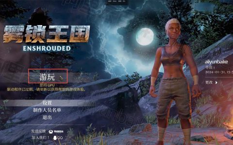 雾锁王国要开服务器吗？