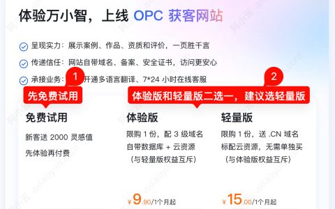 免费体验阿里云万小智AI建站：先领2000灵感值、发布网站选轻量版15元搞定