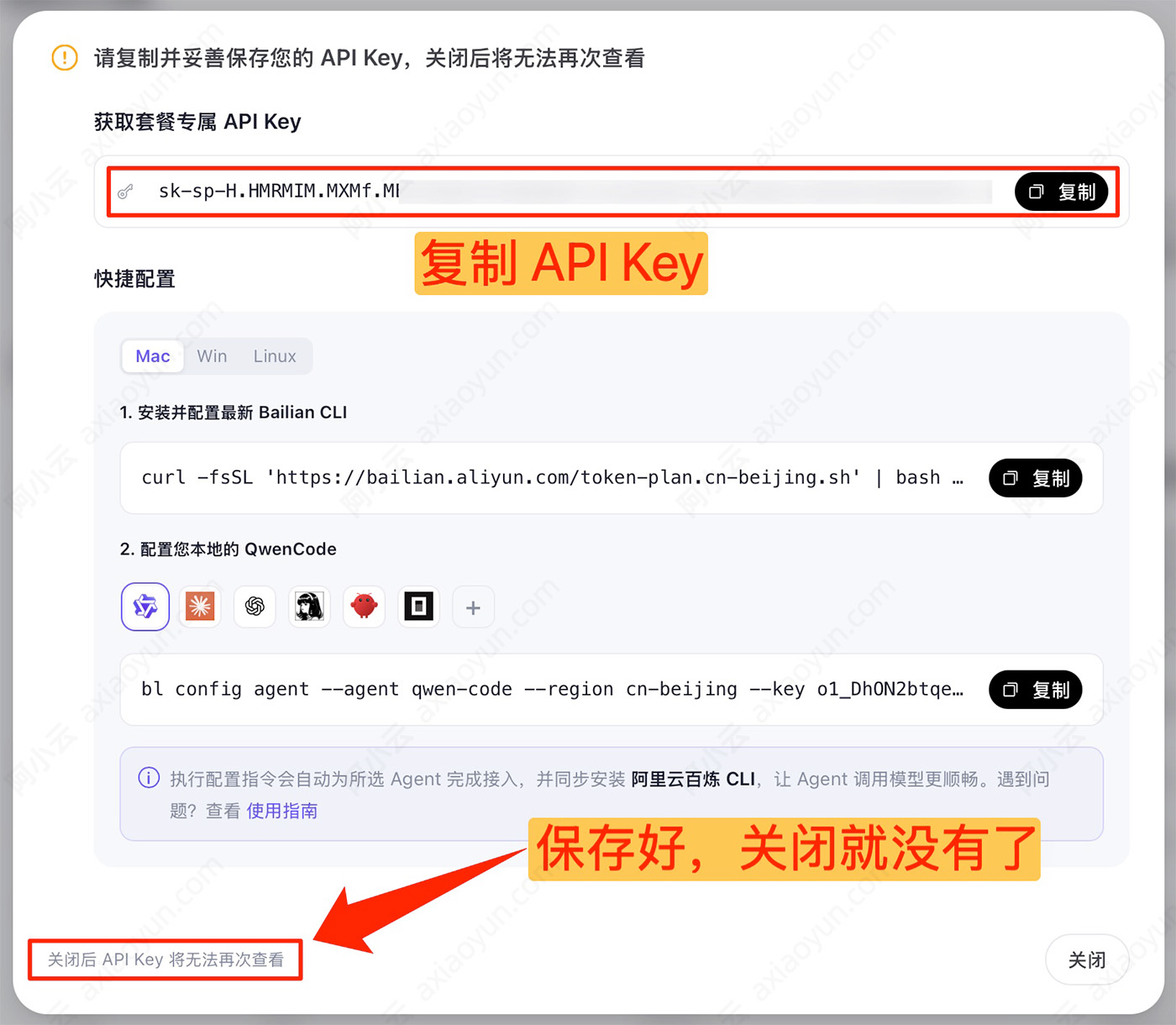 阿里云百炼TokenPlan复制API Key